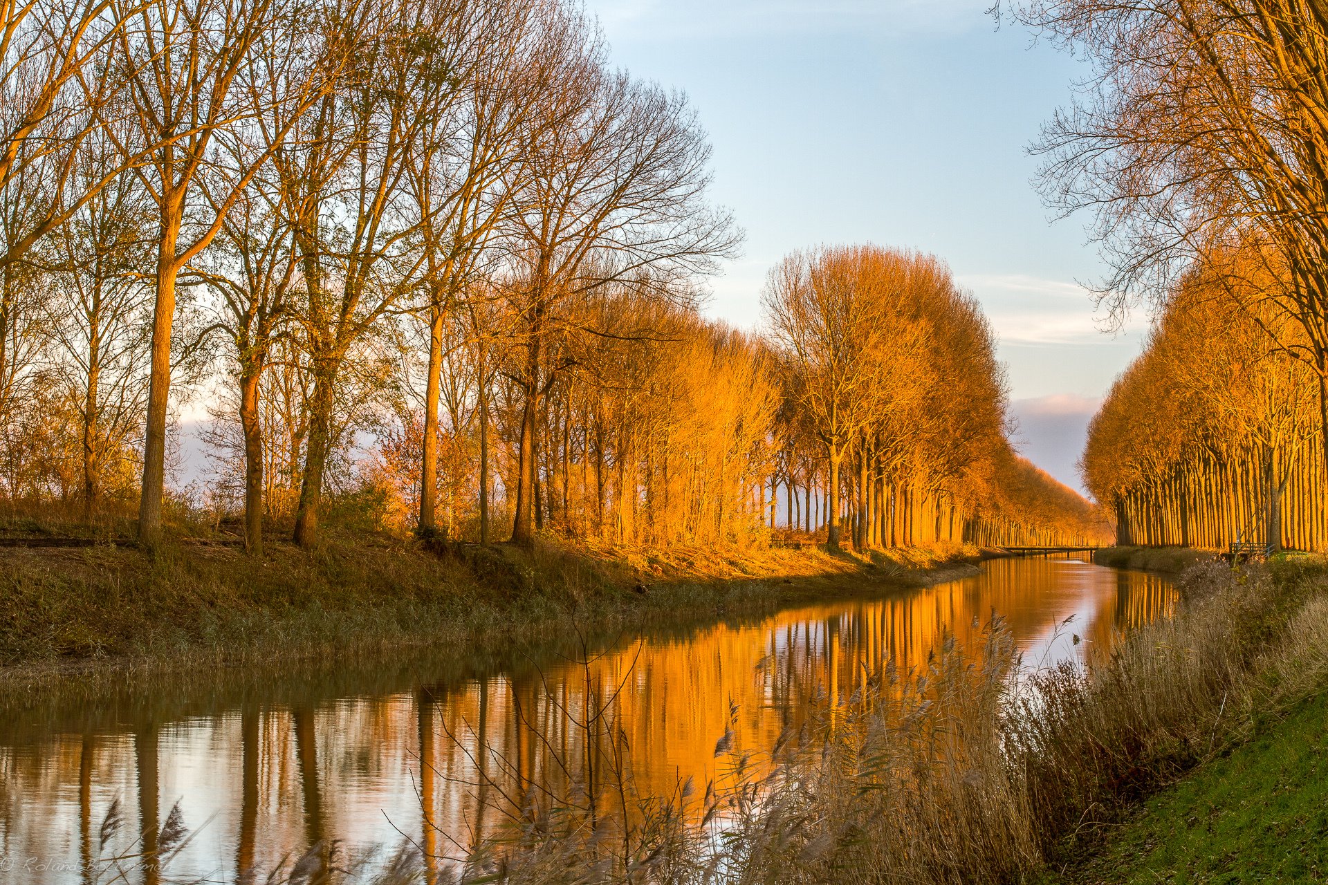 nature canal arbres lumière