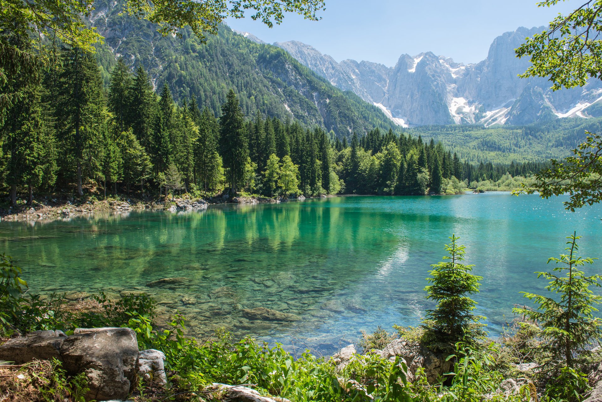 natura góry las choinki jezioro drzewo