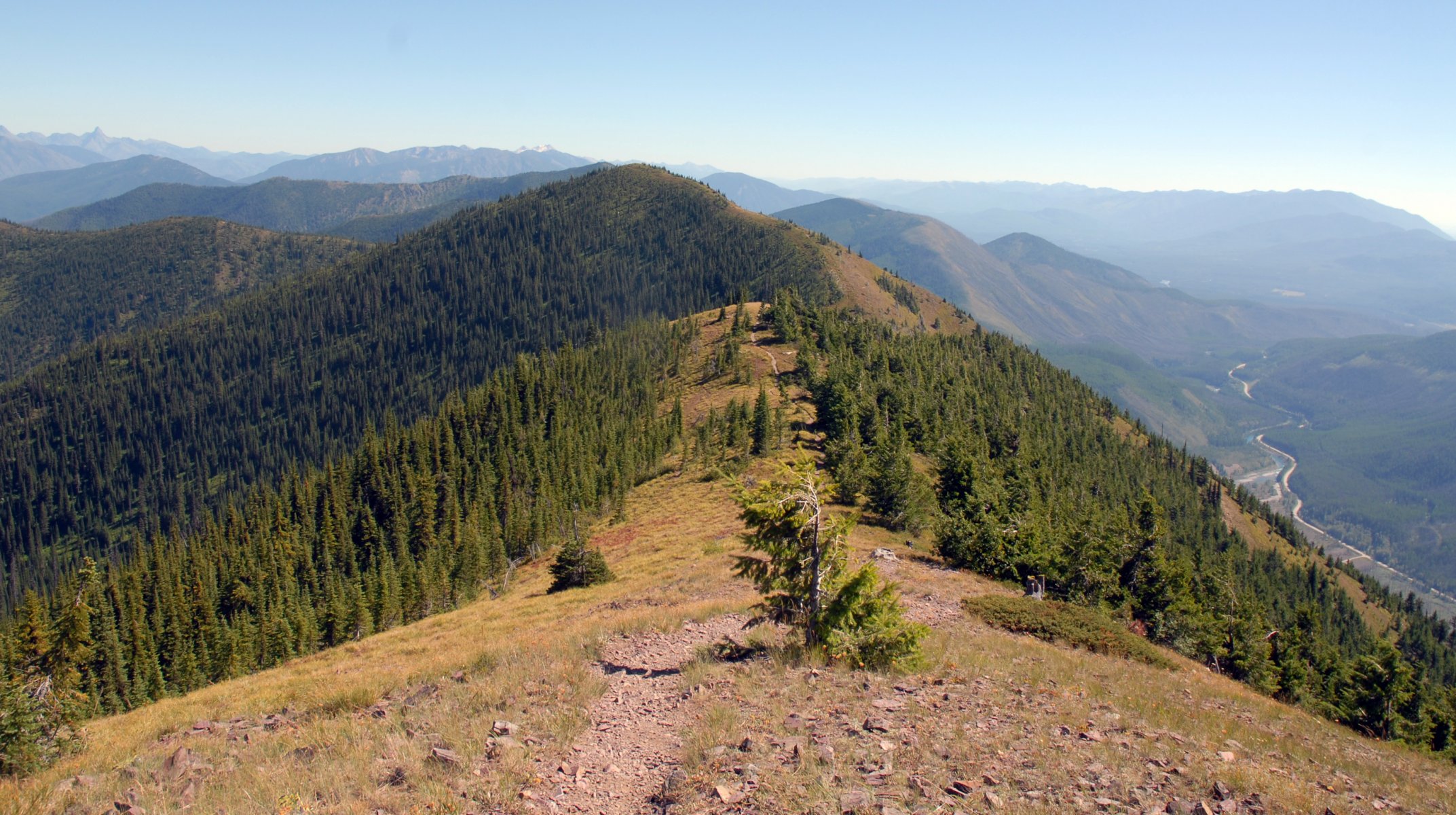 mountain forest landscape nature