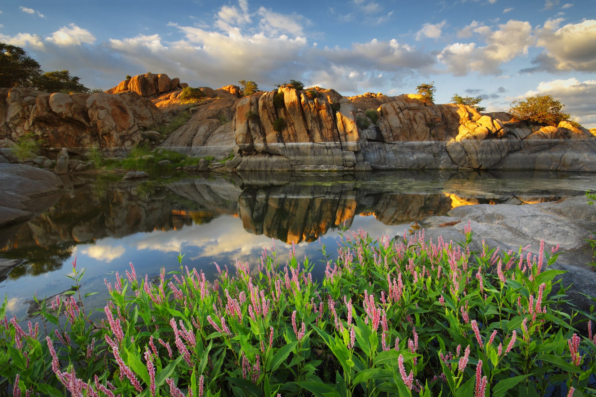 arizona prescott watson lake usa jezioro odbicie kwiaty skały chmury