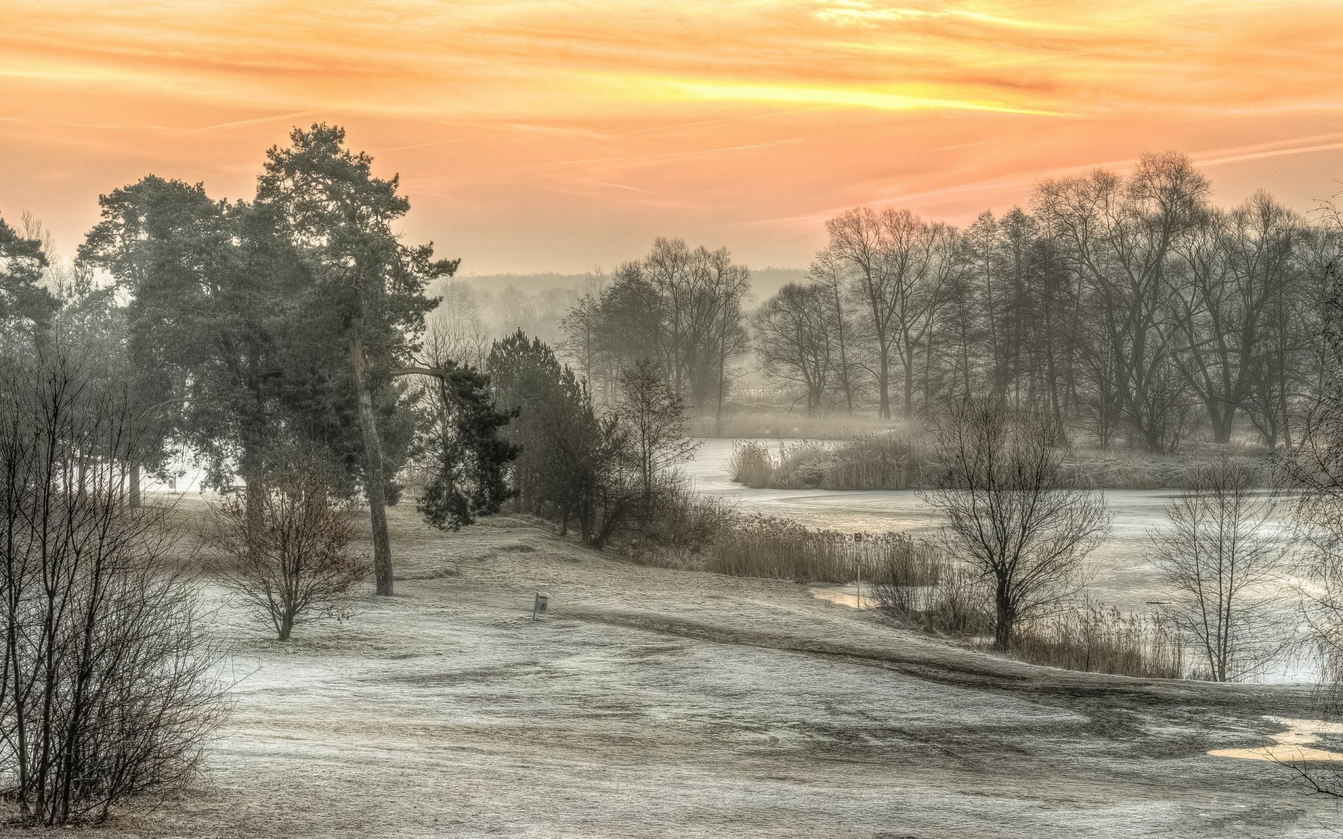 olar frost morning poland zalesie dolne