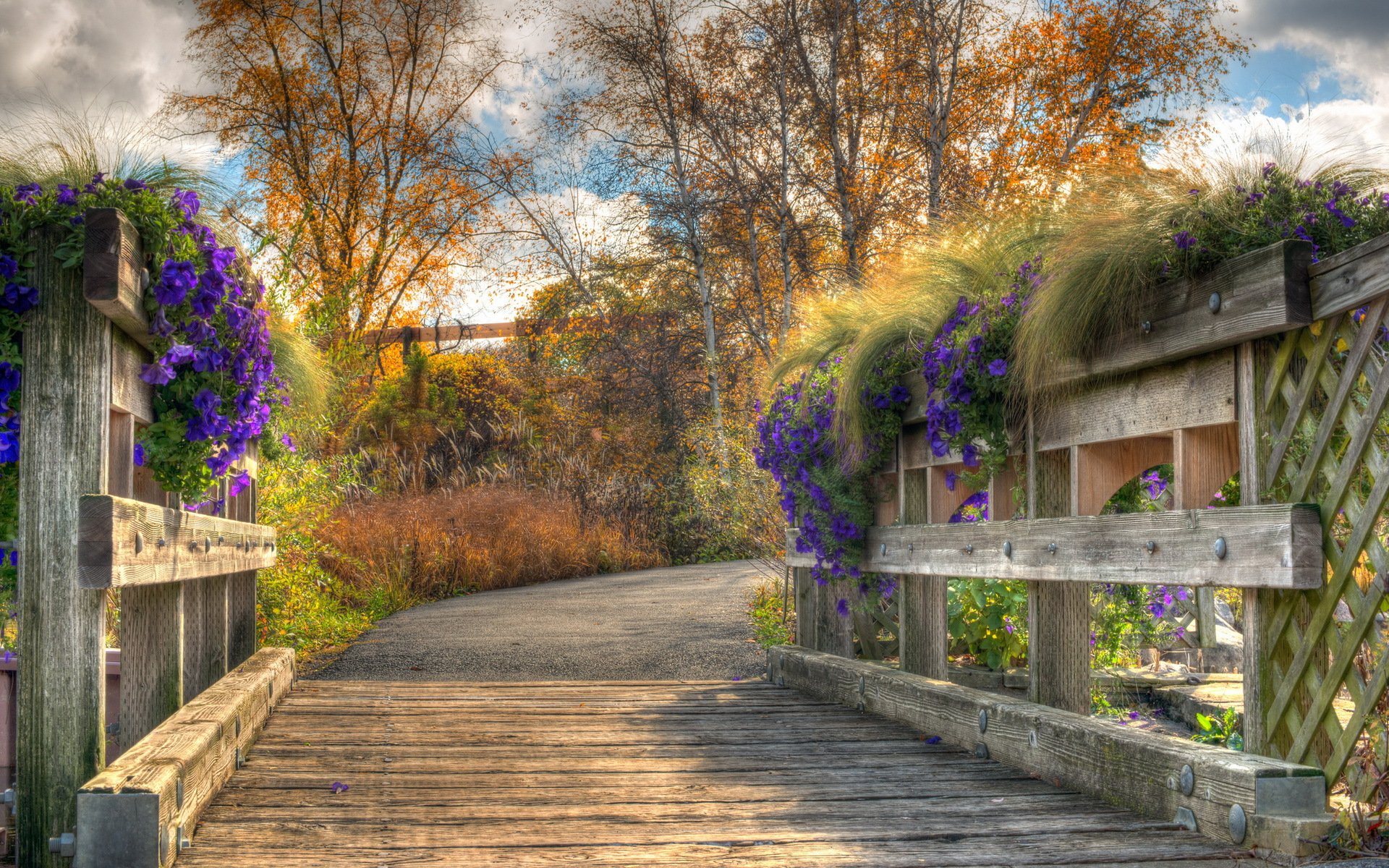 bridge flower nature