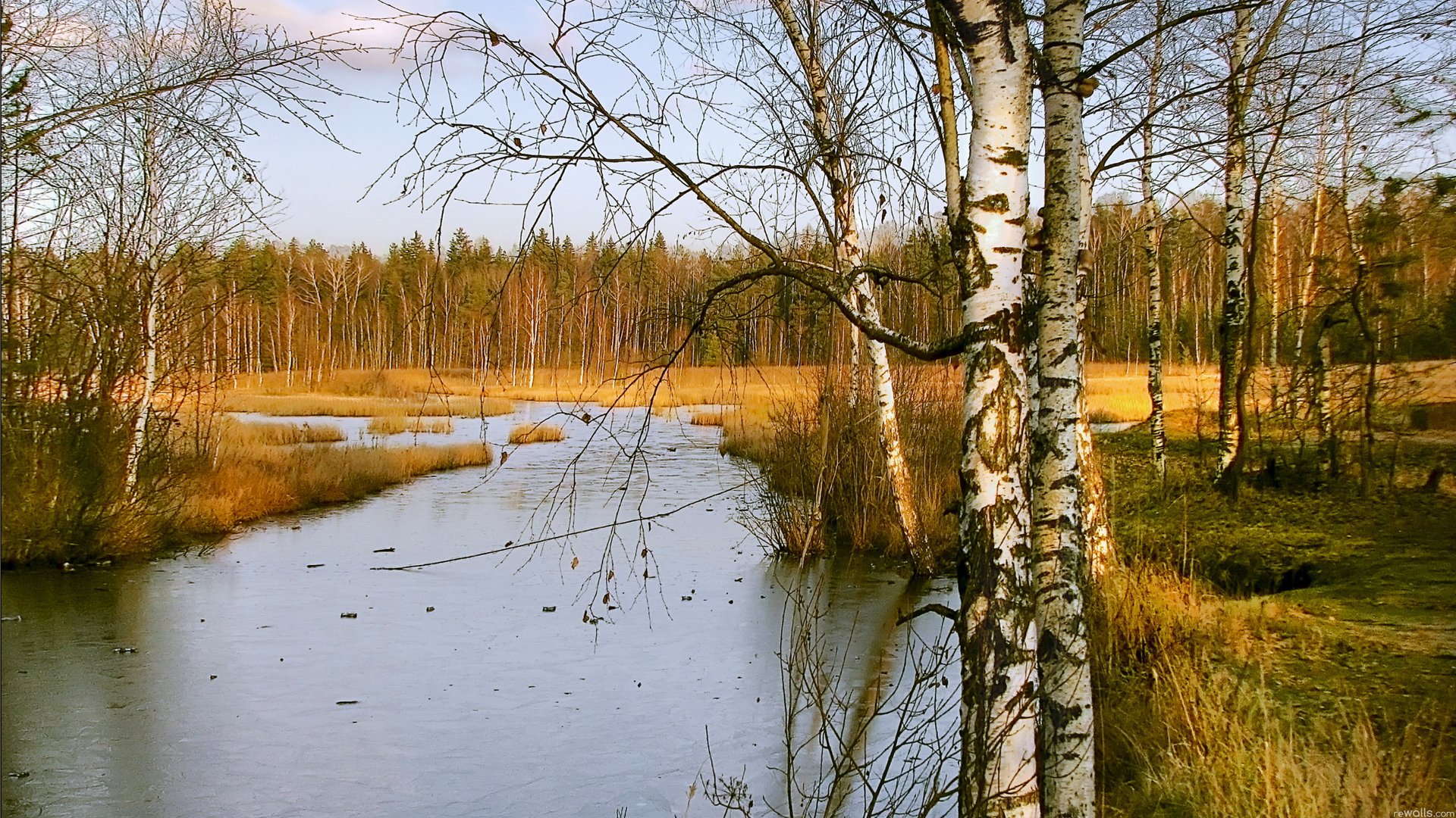 ciel forêt arbres bouleau rivière ruisseau automne gel glace