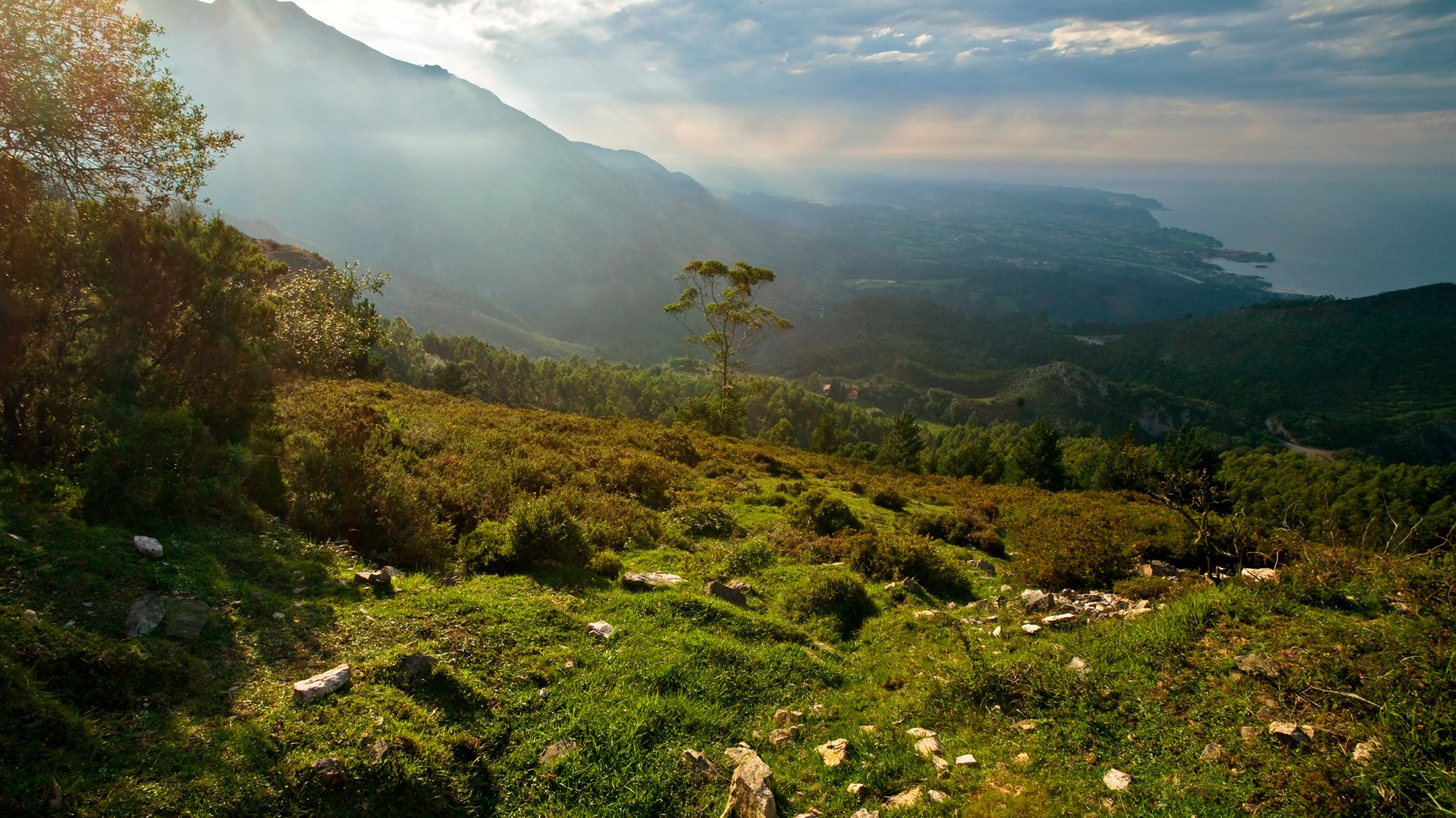 mare montagna mattina natura