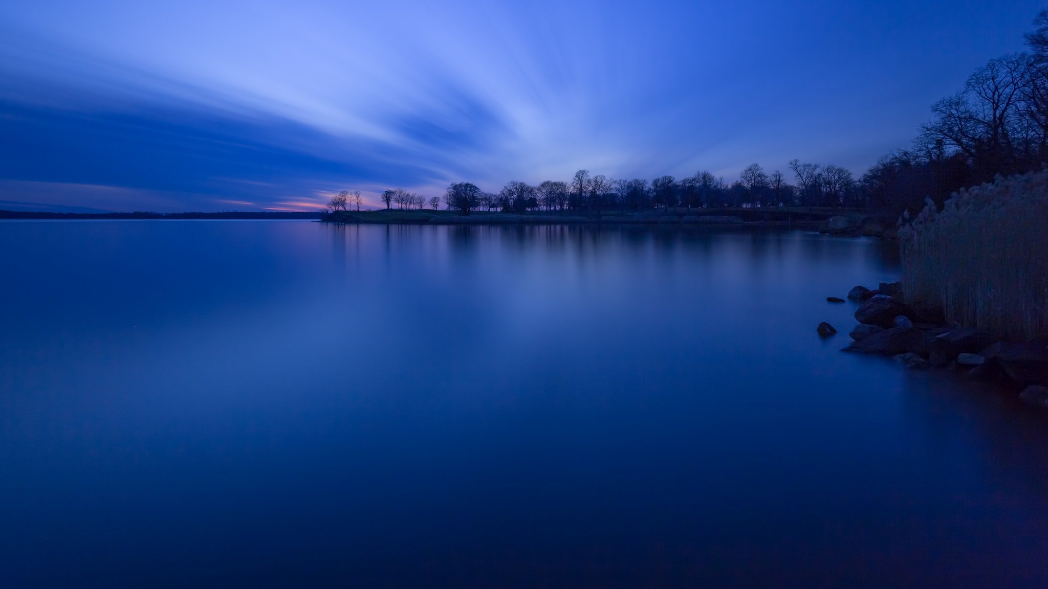 bosque árboles costa lago tarde anochecer puesta de sol azul cielo