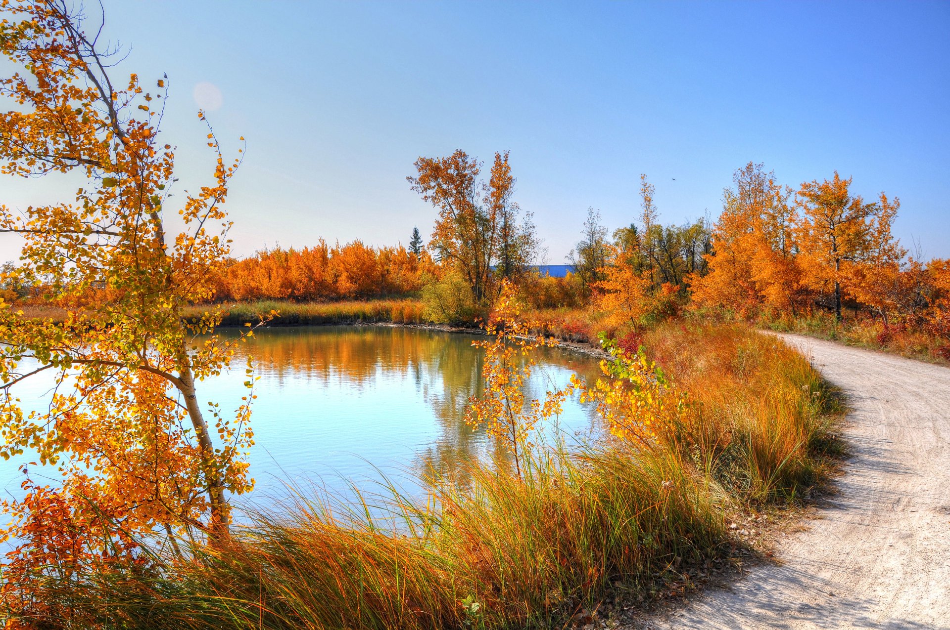 otoño estanque camino árboles hojas naturaleza hierba cielo abedul