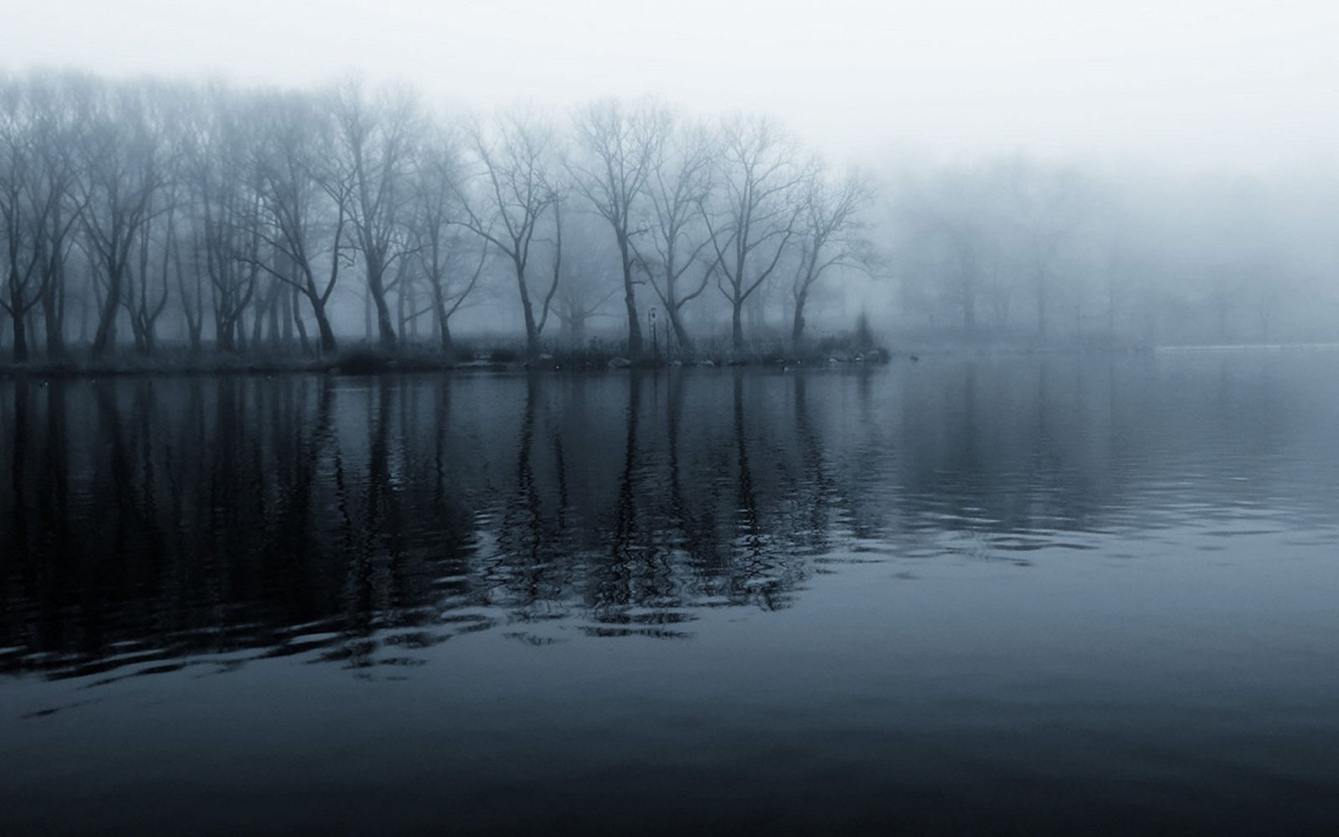 schwarz und weiß wasser wald mystik