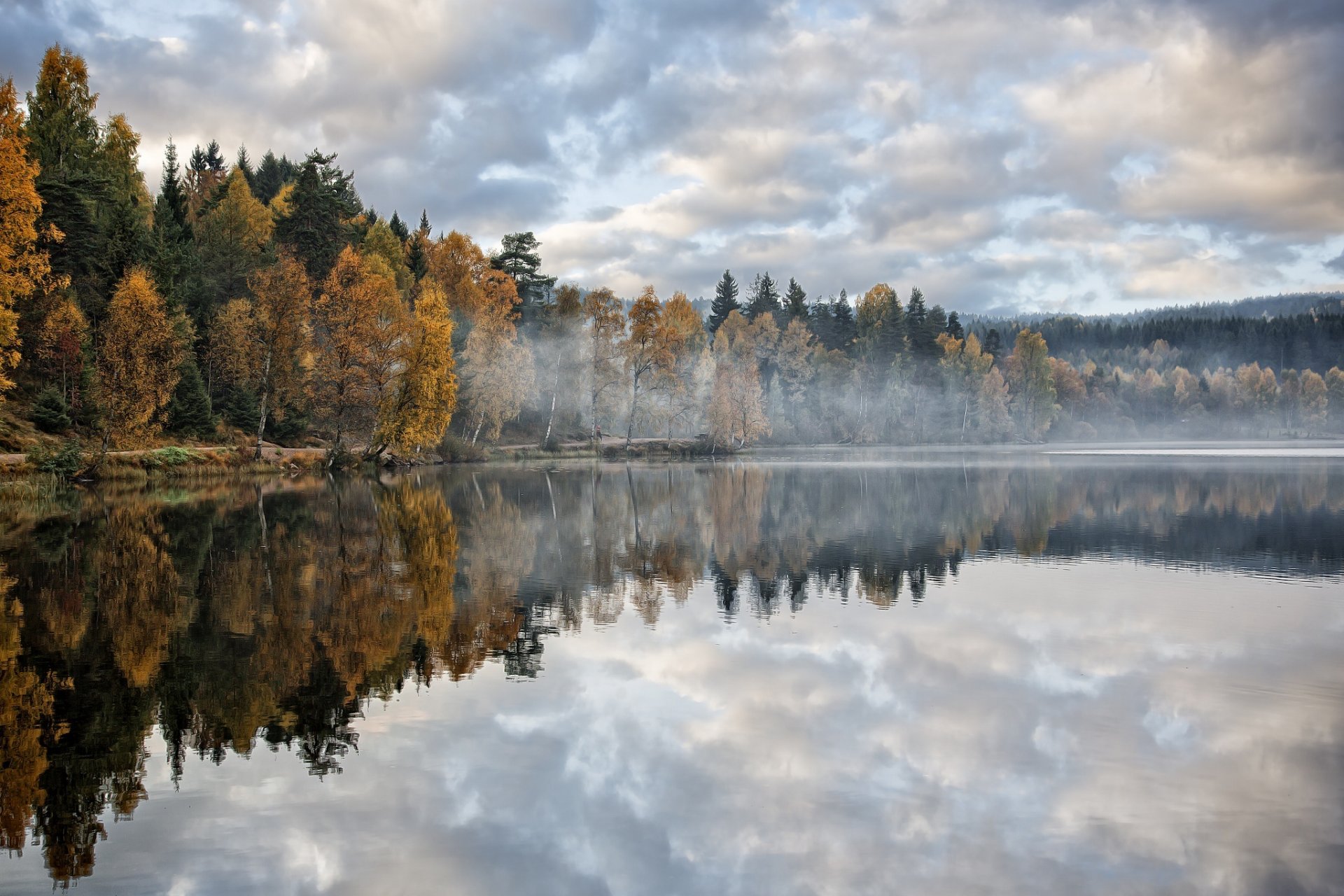 lac forêt arbres matin brume automne