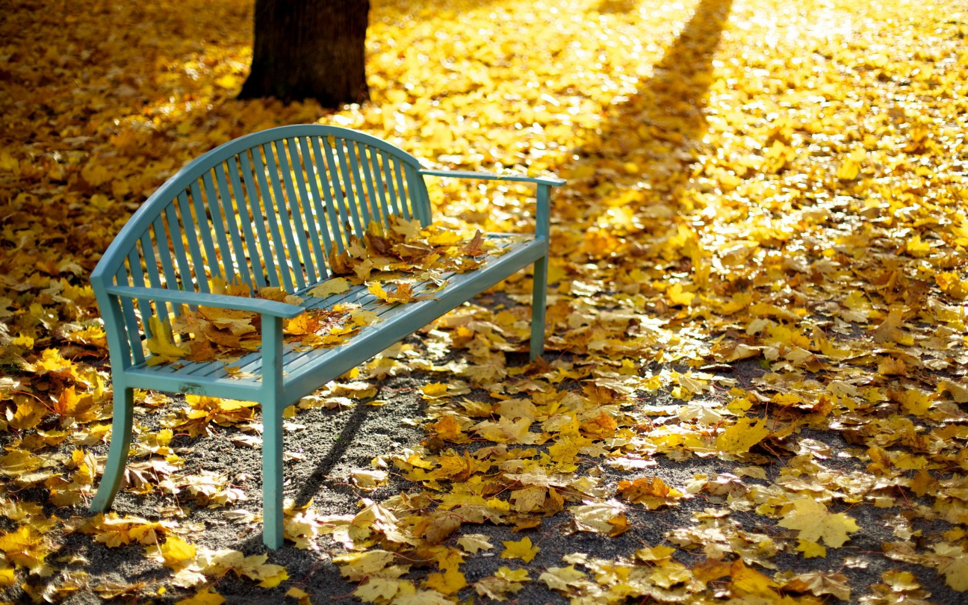 parque banco hojas otoño