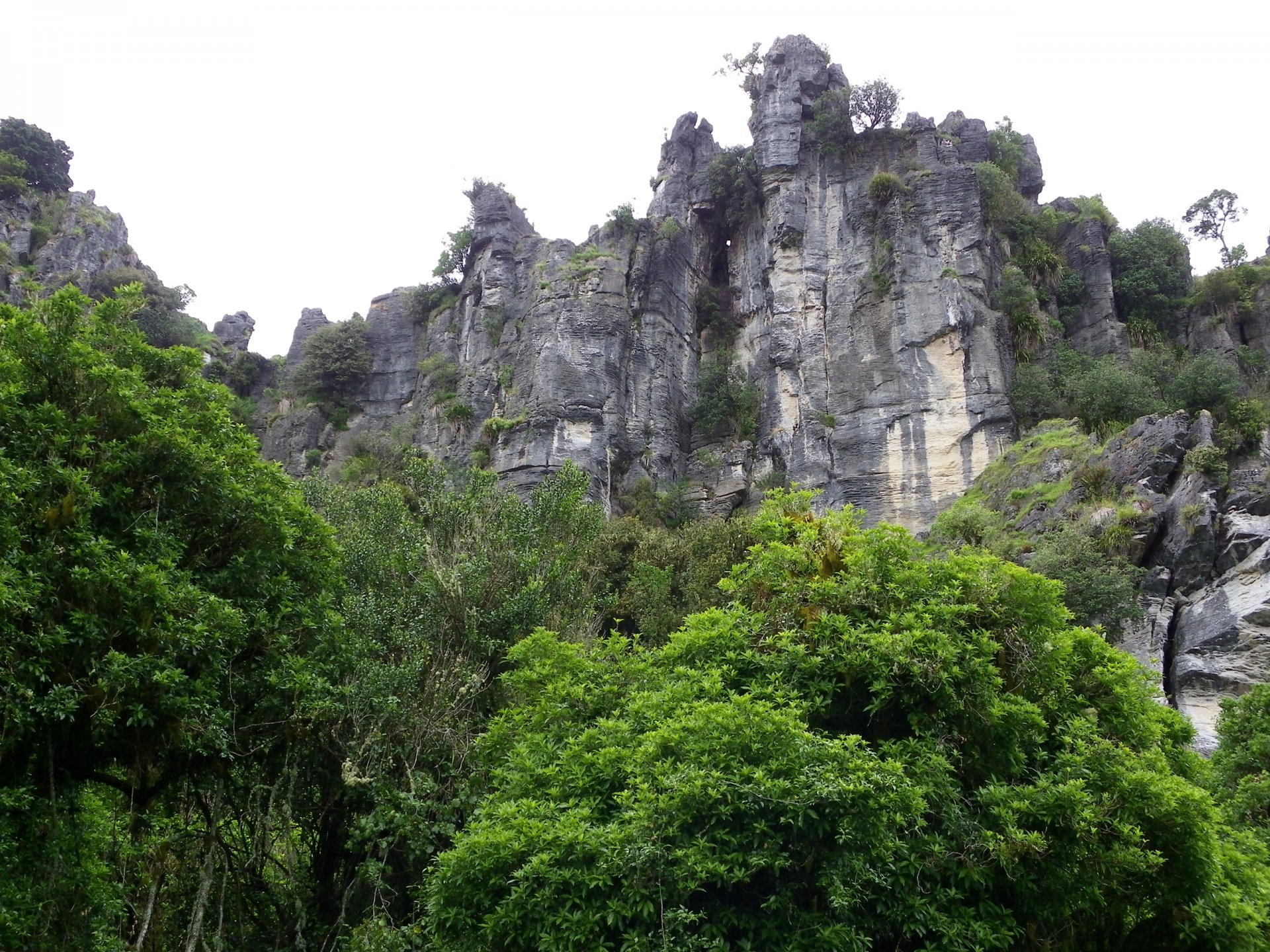 mangaotaki nouvelle-zélande ciel montagnes forêt arbres