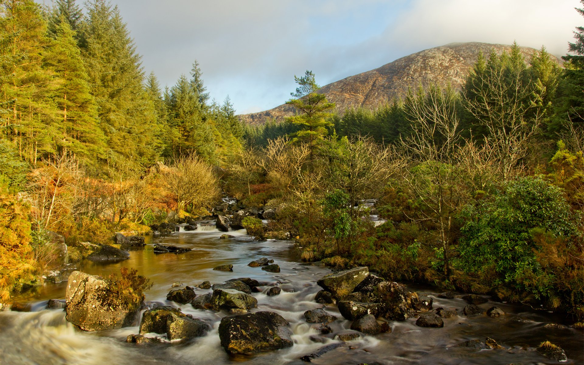 wald berge fluss bach steine bäume