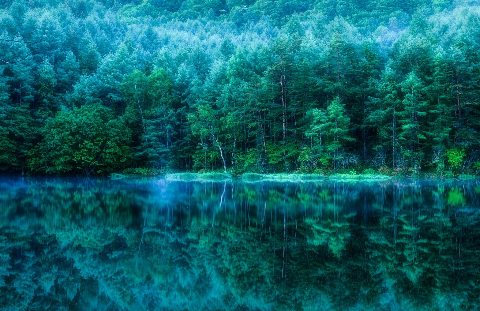 japan pond reservoir forest tree reflection nature