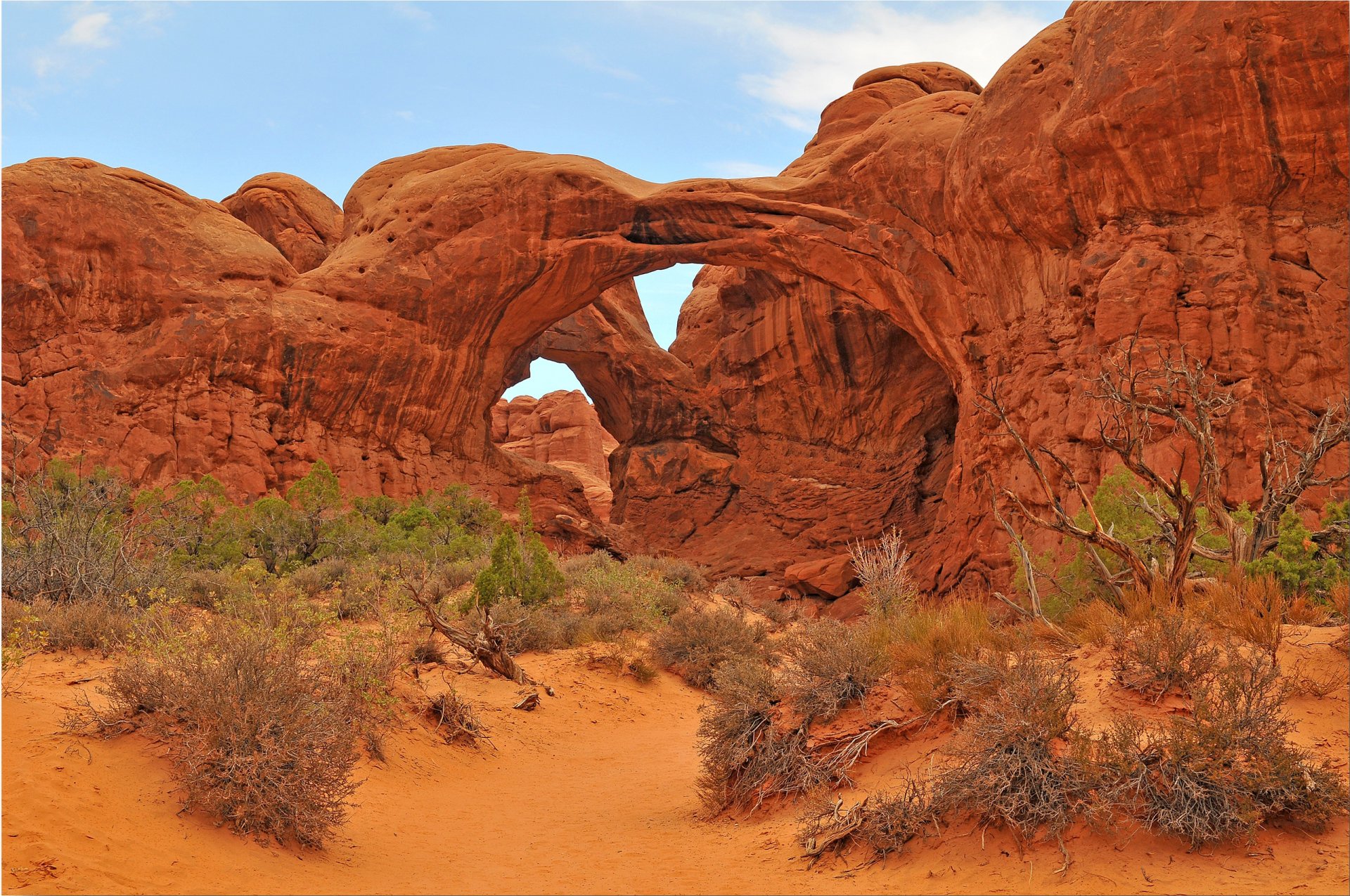 arches parc national usa roches arche ciel arbres buissons