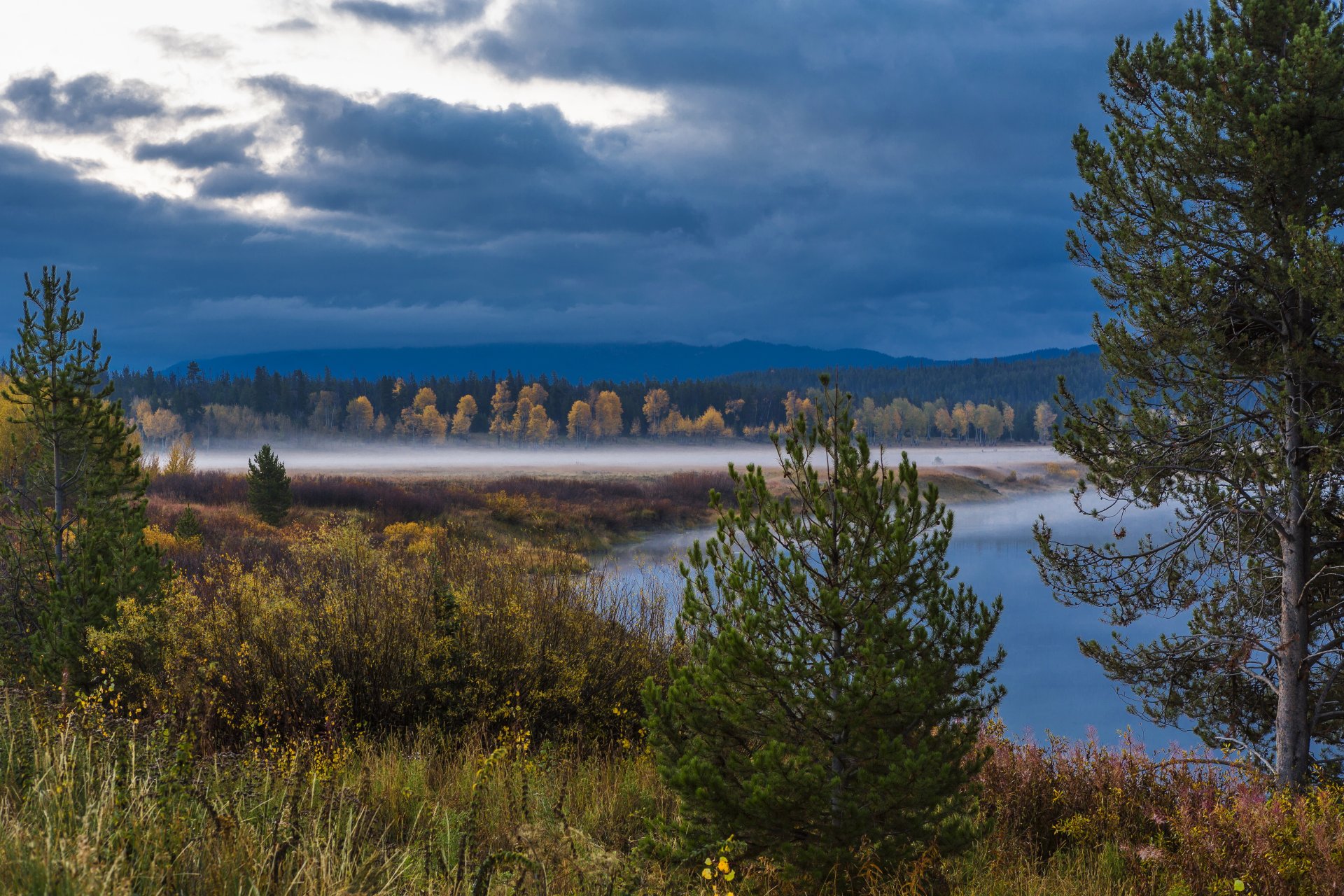 usa wyoming nationalpark grand teton grand teton wyoming wald büsche nebel see bäume wolken