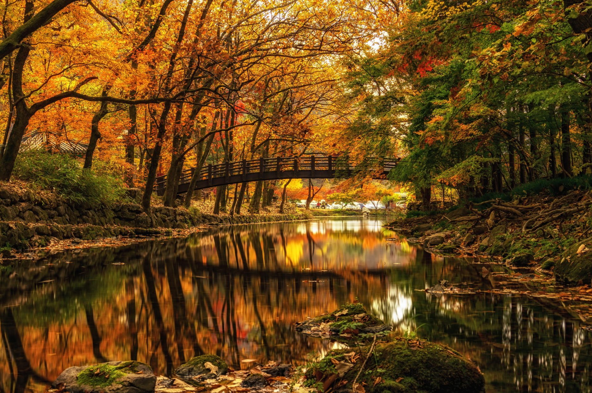 automne rivière pont parc arbres