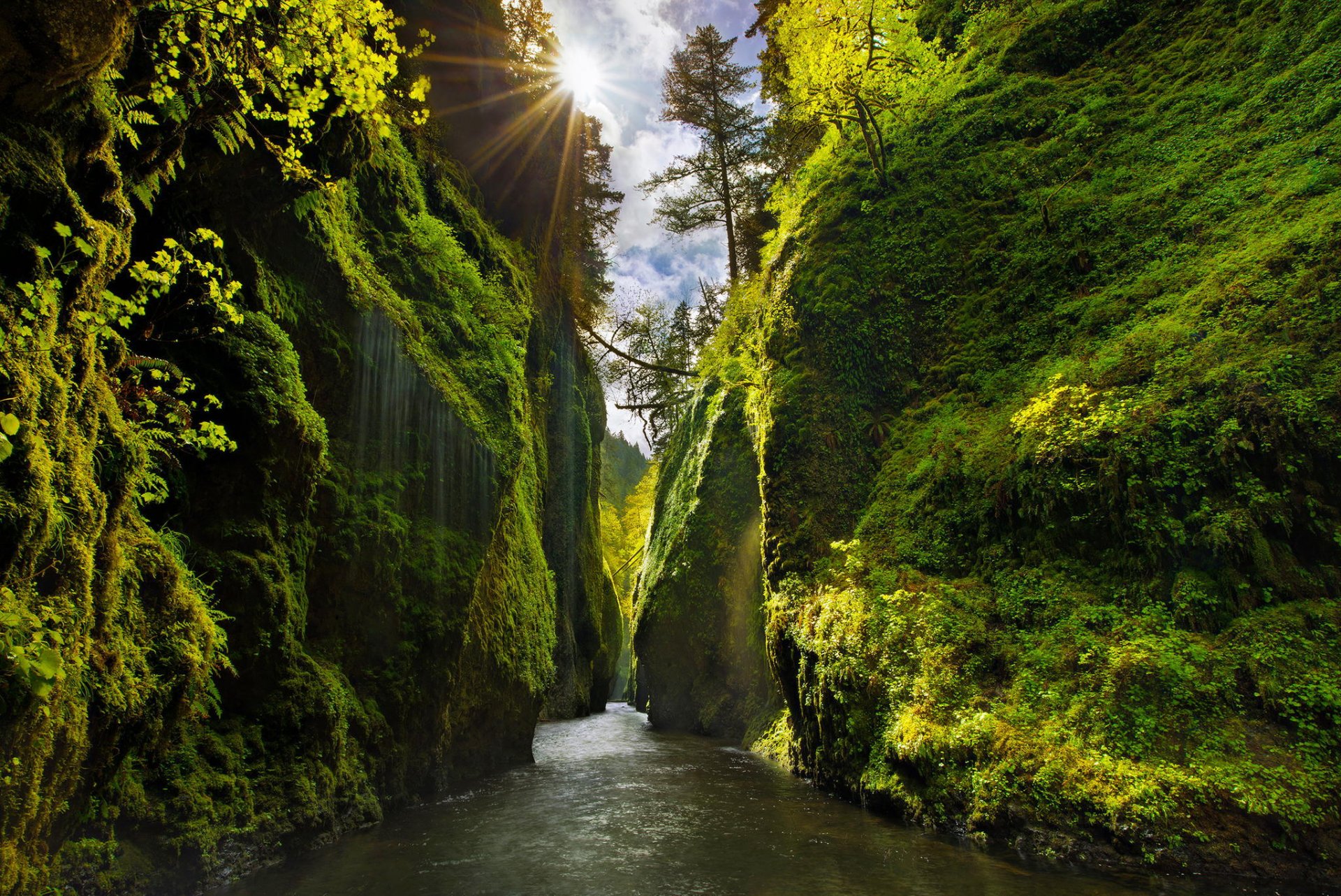 usa staat oregon canyon fluss felsen pisten moos bäume grün himmel licht sonne strahlen