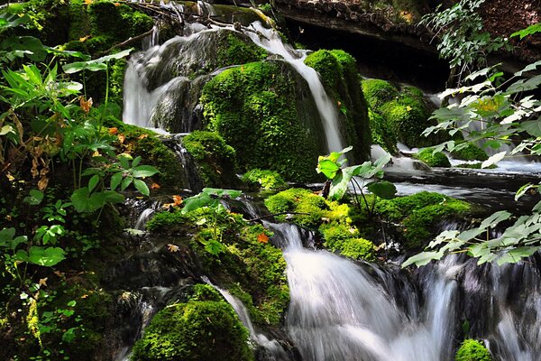 Waterfall made of stone. Green moss and leaves