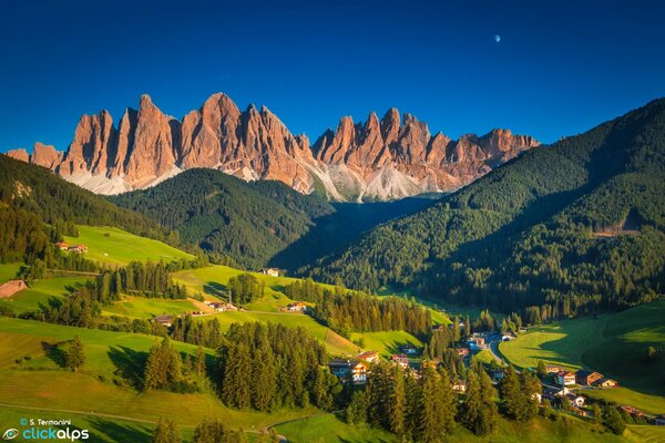 Summer on the slope of green peaks