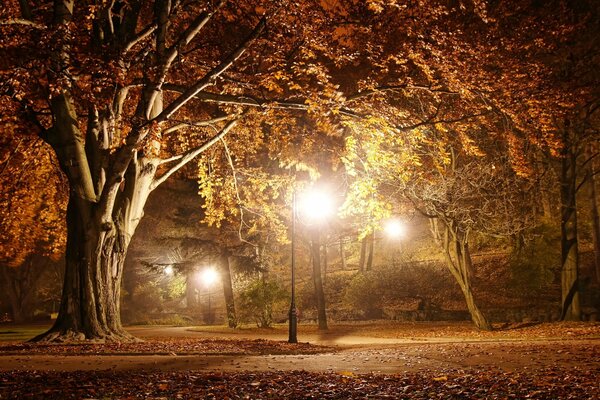 The road in the autumn park, illuminated by lanterns