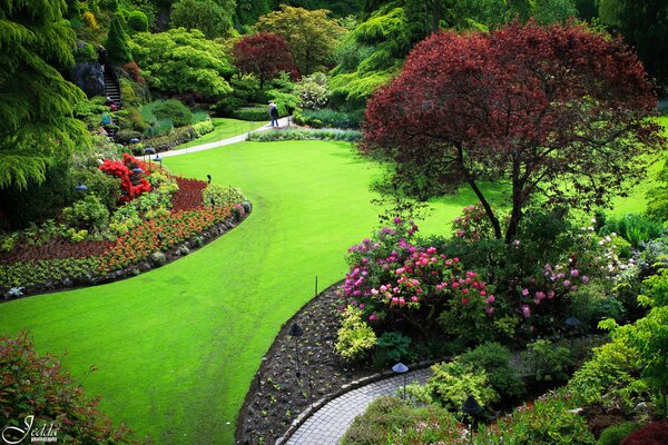 Un paseo romántico por el césped verde