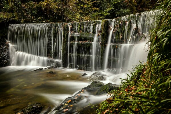 Водопад в лесу, Эмблсайд, Англия