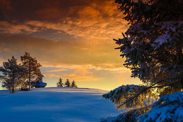 Beautiful Scandinavian winter fields