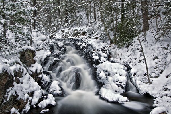 Fluss in Schneewehen im Wald