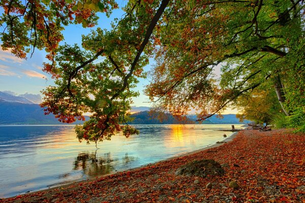 Rive d automne de la rivière. Montagnes à l horizon