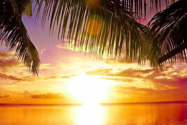 Puesta de sol en el mar en un paraíso tropical