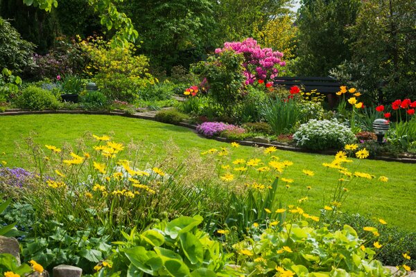 Bright flowerbed with red and yellow flowers