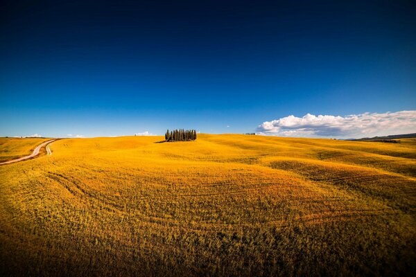 Wonderful fields in Italy are beautiful