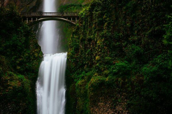 Cascata sotto il ponte intorno al verde