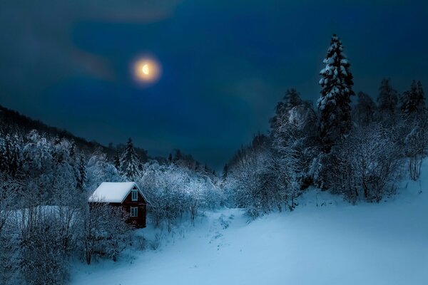 Winter night and a lonely hut