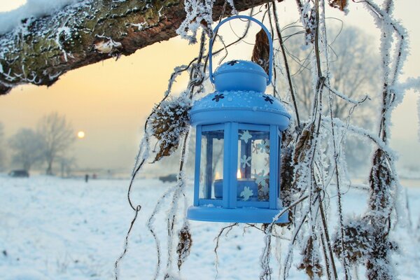 Lanterne bleue sur l arbre d hiver