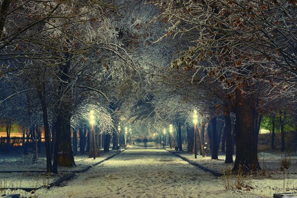 Winterabend im verschneiten Park