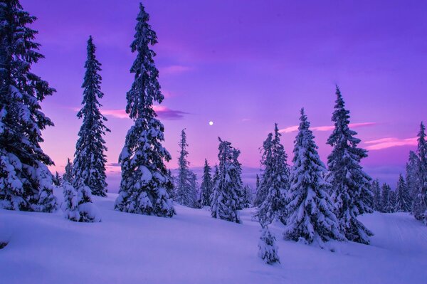 Der Winter fasziniert mit seiner Schönheit