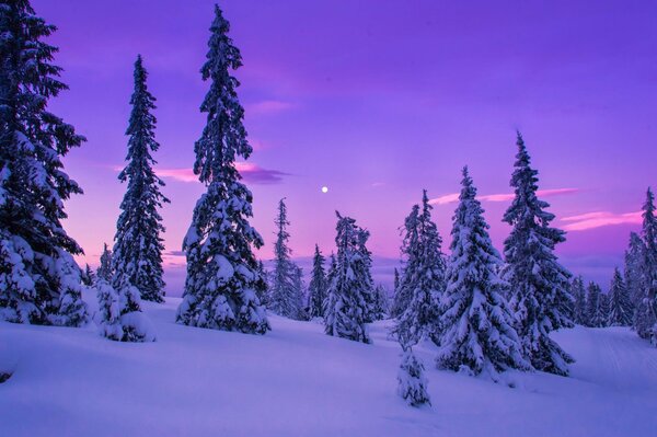 El invierno fascina con su belleza