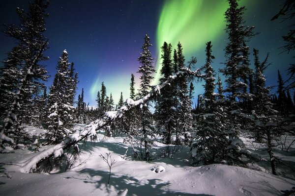 Das serverseitige Leuchten in Alaska ist magisch