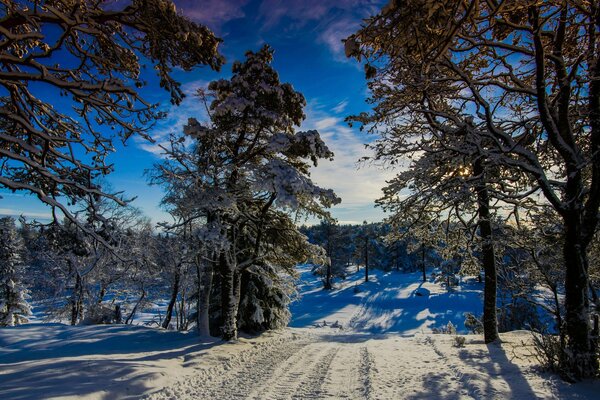 Invierno Fabuloso y soleado en Noruega