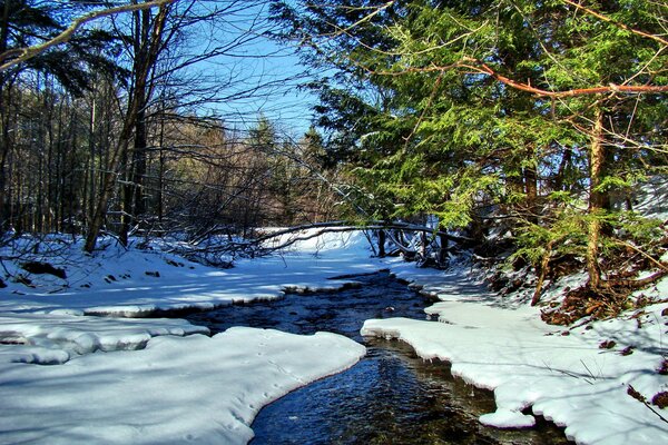 Winter river in the forest among the snows