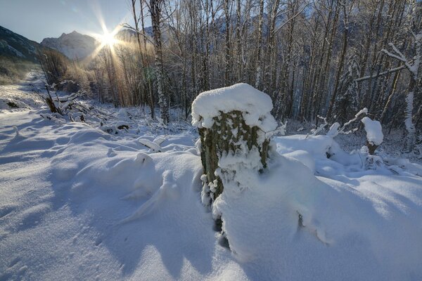 Giornata di sole invernale in montagna