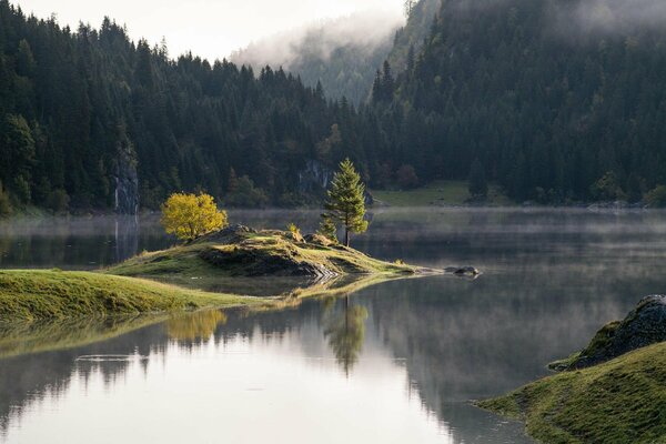 Kinder zeichnen Landschaft Natur