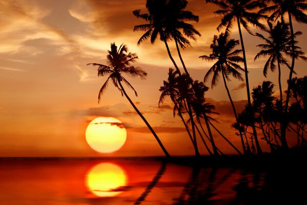 The sea against the background of the island and the scarlet sunset