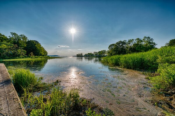 Die Natur von Log Island. Schöne Landschaft. Helle Sonne