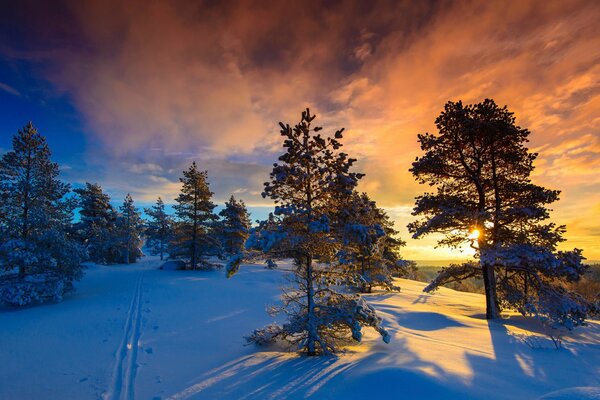 Das Licht der untergehenden Sonne nach einem frostigen Tag in Norwegen