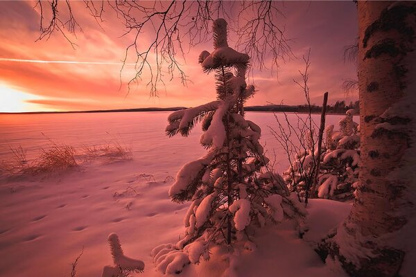 Vanilla clouds in the winter expanses