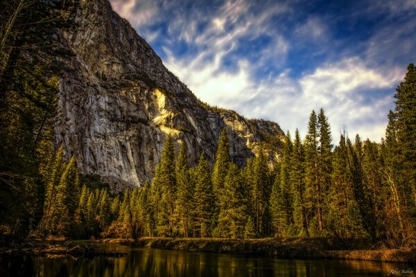 Bosque, rocas y río en el parque nacional de Yosemite, California