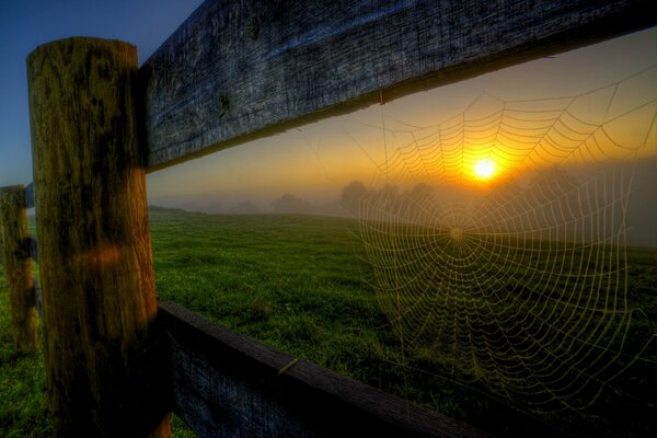 Spring evening. Sunset on a mountain slope