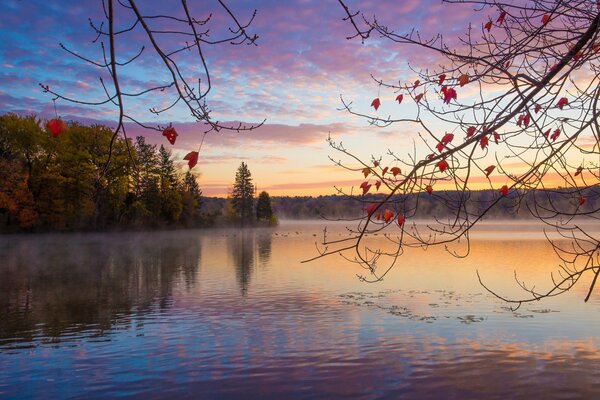 Alba sul lago nella foresta