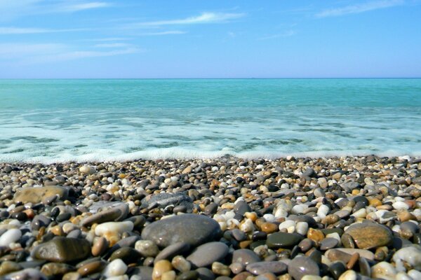 Pierres dans la mousse sur la côte de la mer